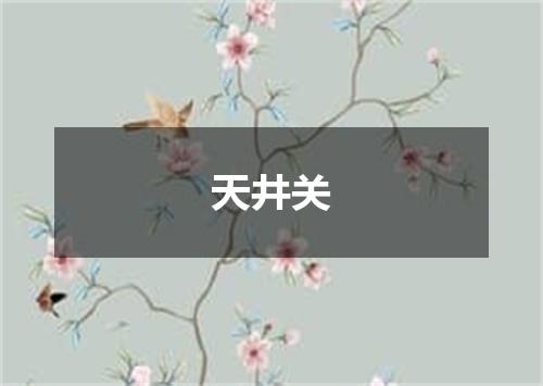 天井关