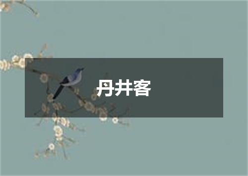 丹井客