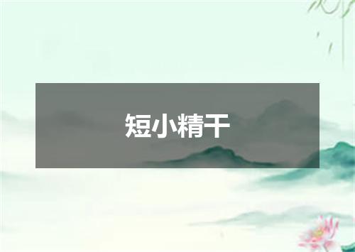 短小精干