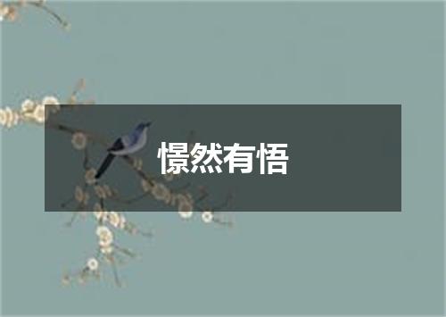 憬然有悟