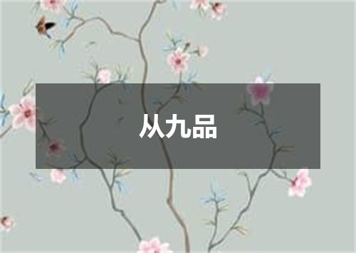 从九品