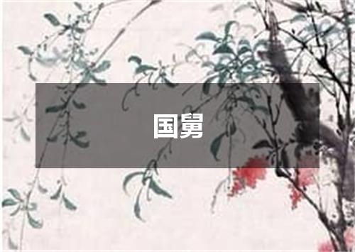 国舅