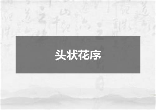 头状花序