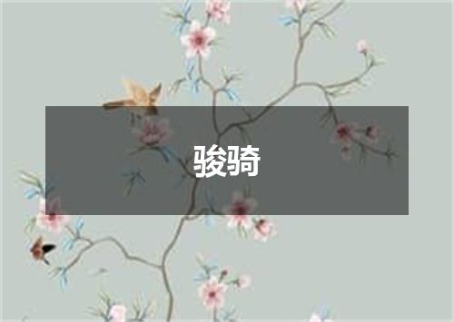骏骑