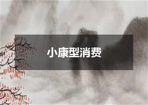 小康型消费