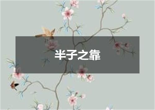 半子之靠