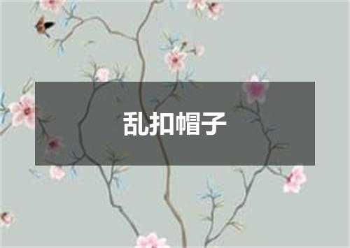 乱扣帽子