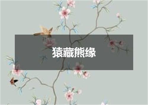 猿藏熊缘
