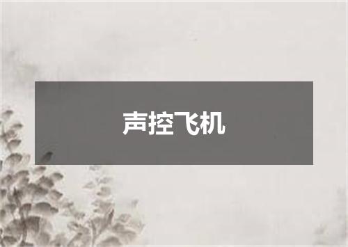 声控飞机