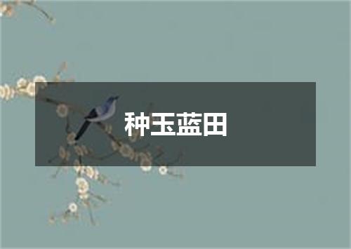 种玉蓝田