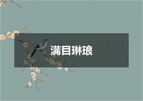 满目琳琅