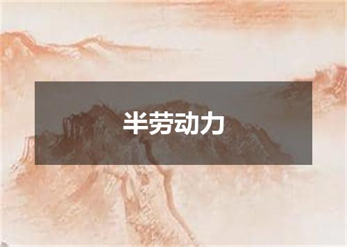 半劳动力
