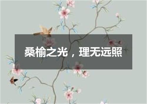 桑榆之光，理无远照