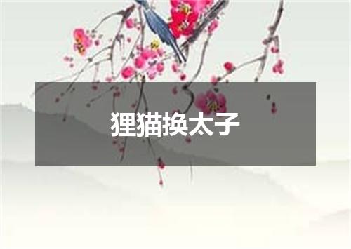 狸猫换太子