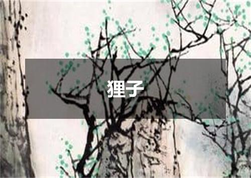 狸子