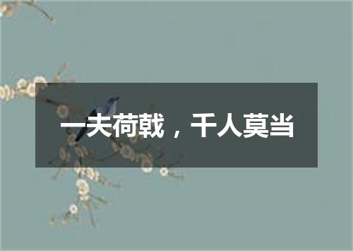 一夫荷戟，千人莫当