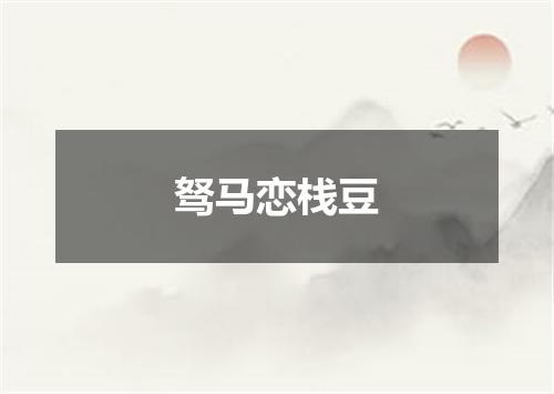 驽马恋栈豆