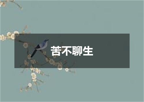 苦不聊生