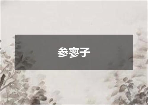 参寥子
