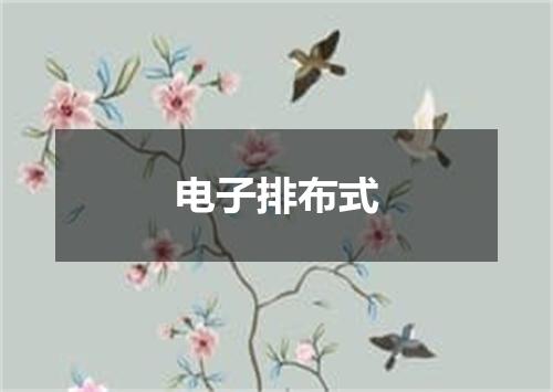 电子排布式