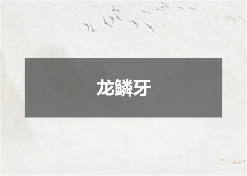 龙鳞牙