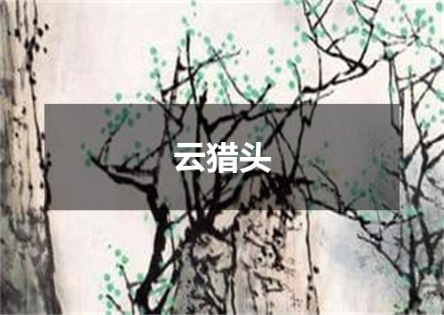 云猎头