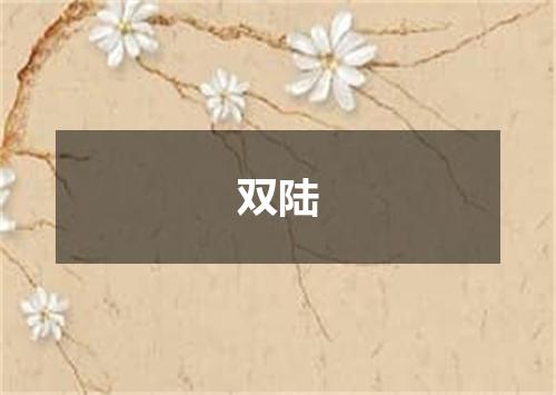 双陆