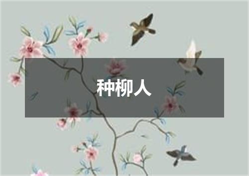 种柳人