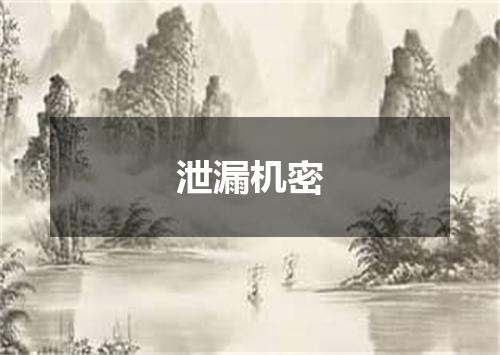 泄漏机密