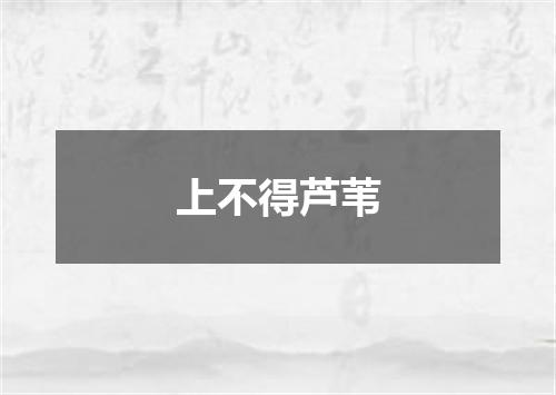 上不得芦苇