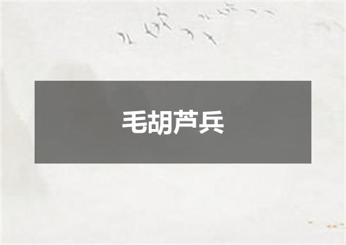 毛胡芦兵