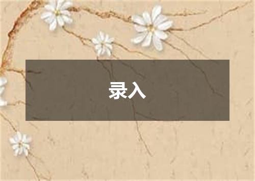 录入