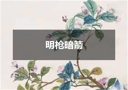 明枪暗箭