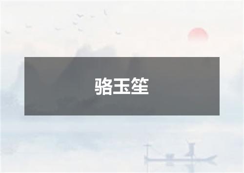 骆玉笙