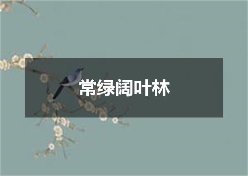 常绿阔叶林
