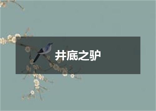 井底之驴