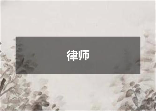 律师