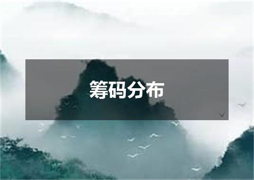 筹码分布