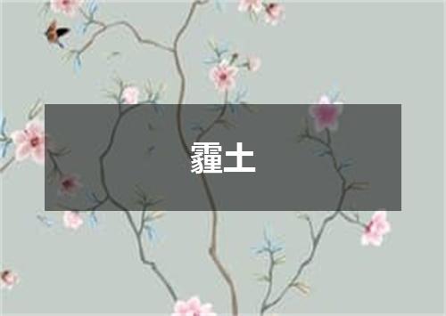 霾土