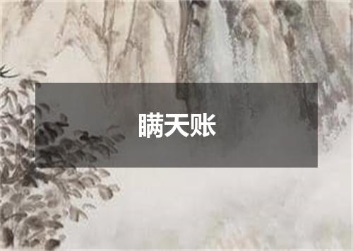 瞒天账