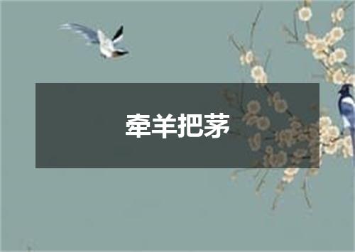 牵羊把茅