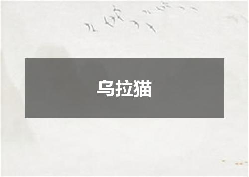 乌拉猫