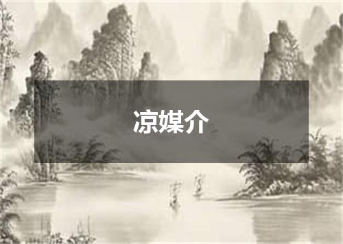 凉媒介