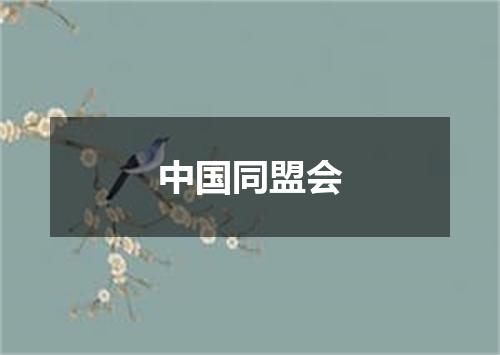 中国同盟会