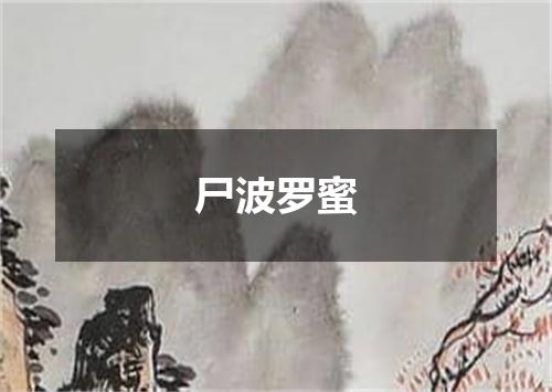 尸波罗蜜