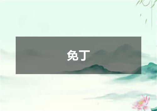 免丁