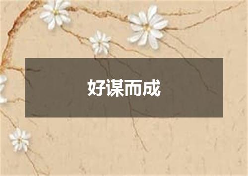 好谋而成