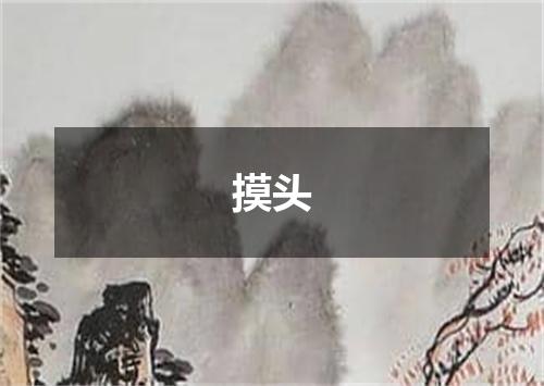 摸头