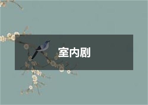 室内剧
