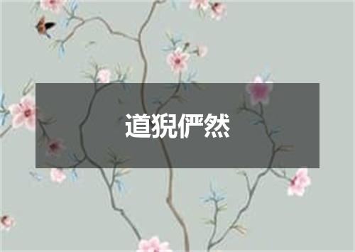 道猊俨然